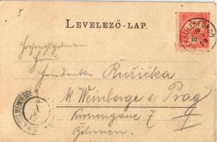 1900 Herkulesfürdő, Baile Herculane; Ferenc József udvar / Franz Josef-Hof / spa (kis szakadás / sma...