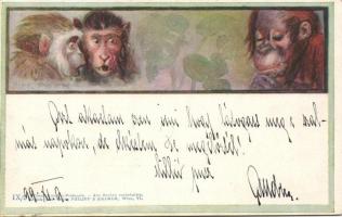 1899 Orang-utan and Chimpanzees Philipp und Kramer s: Alexander Pock