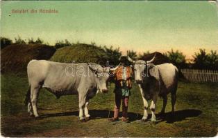 Salutari din Romania / Romanian folklore (lyuk / pinhole)