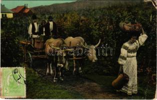 1913 Salutari din Romania. Culesul Viilor / Romanian folklore, grape harvest (EB)