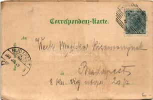 1903 Mariánské Lázne, Marienbad; Grosse Halle im Café & Restaurant Egerländer. litho (EM)