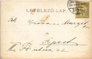 1904 Iglófüred, Spisská Nová Ves Kupele, Novovesské Kúpele; kiránduló hölgy / hiking lady. photo (fl...