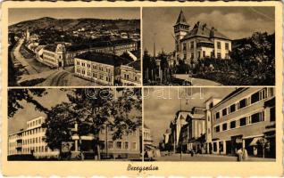 Beregszász, Beregovo, Berehove; Állami borpince, utcaképek / state wine cellar, vineyards, streets (EK)