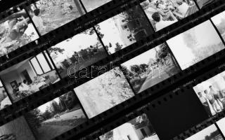 Balatoni, főként balatonkenesei részletek, 35 db negatív kocka kisfilm negatív csíkokban