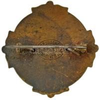 ~1907-1918. "Országos Keresztényszocialista Párt" 
zománcozott bronz jelvény, Zn rátéttel...