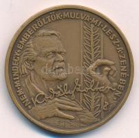 Peternák Gusztáv (1928-) 1982. "Bartók Béla 1881-1981 / Kodály Zoltán 1882-1982" bronz eml...