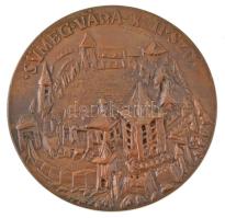 Peternák Gusztáv (1928-) 1983. "Keszthelyi Éremgyűjtő Csoport / Sümeg Vára XVII. szd." bronz emlékérem (50mm) T:AU Adamo KE27