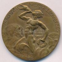 Berán Lajos (1882-1943) 1935. Magyar Evezős Szövetség bronz díjérem, hátoldalán Újonc nyolcas III. 1935. VI. 2. gravírozással, Berán N. Bpest gyártói jelzéssel (34mm) T:AU kis patina