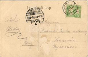 1906 Ruszkabánya, Rusca Montana; nyaralóhely, templom, Villa Stefanica. Fuchs fényképei után / holid...