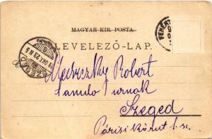 1898 (Vorläufer) Fehértemplom, Ung. Weisskirchen, Bela Crkva; Stadthaus, Café Stadt Wien, Promenade,...