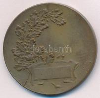 1940. "Szent István Kupa Emlékérem - Az első esti labdarúgó díjmérkőzésekre" kétoldalas br...