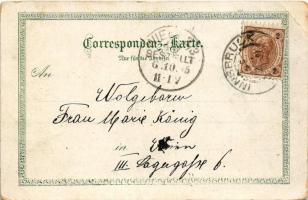 Innsbruck (Tirol), vom Berg Isel. Carl Otto Hayd Kunstverlag Art Nouveau, floral, litho (EB)