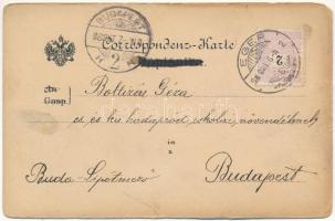 1898 (Vorläufer) Sarajevo, general view with coat of arms. Art Nouveau, floral, litho (EM)