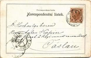 1897 (Vorläufer!) Jilemnice, Radnice, Sokolna / town hall, Sokol building, winter sport, ski. Art No...