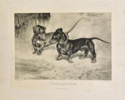 cca 1906 3 db kutyás témájú nyomat, egyik színes, kissé foltos, lapszéli szakadásokkal, 27x21 cm kör...