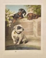 cca 1906 3 db kutyás témájú nyomat, egyik színes, kissé foltos, lapszéli szakadásokkal, 27x21 cm kör...