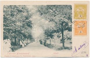 1901 Kovászna, Covasna; Sétatér. Bogdán F. fényképész 7433. / promenade. TCV card (EB)