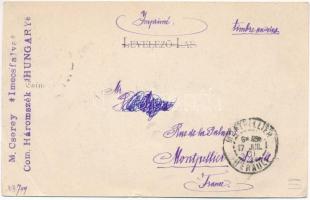 1901 Kovászna, Covasna; Sétatér. Bogdán F. fényképész 7433. / promenade. TCV card (EB)