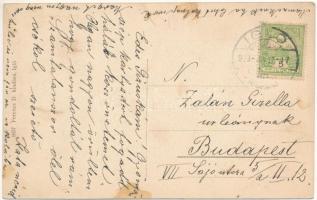 Igló, Zipser Neudorf, Spisská Nová Ves; Madarász park részlete. Ferencz D. kiadása / park