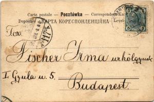 1905 Lviv, Lwów, Lemberg; Gmach Sejmowy / university (fl)