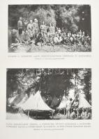 Pilch Jenő (szerk.): A világháború története. József királyi herceg tábornagy úr őfensége előszaváva...