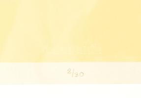 Rákosy Anikó (1948-): Huszárok. Szitanyomat, papír, jelzett, számozott (2/30), üvegezett fakeretben,...