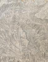 8 db osztrák katona térkép cca 1910 50x60 cm