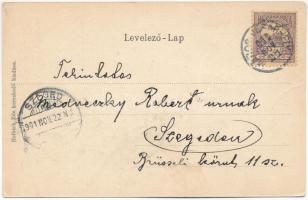 1901 Marosvásárhely, Targu Mures; Bolyai utca, König Károly, Schmidt üzlete. Holbach Ede kiadása. Sz...