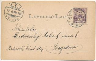 1901 Marosvásárhely, Targu Mures; Fő tér, Mózes József, Petelei János üzlete. Holbach Ede kiadása / ...