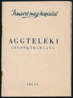 cca 1955 Ismerd meg hazádat - Aggteleki cseppkőbarlang. IBUSZ turisztikai kiadvány. Bp., Athenaeum-ny., 63 p. Fekete-fehér fotókkal illusztrált. Kiadói papírkötés, szétvált tűzéssel.