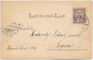 1901 Marosvásárhely, Targu Mures; Fő tér, Dudutz István és Ferenc, Fey József, Widder Antal, Bogdánf...