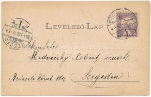 1901 Marosvásárhely, Targu Mures; Fő utca, Muntyán Géza, Petrás Géza, Szalmásy Gyula, Hary Géza, Sch...