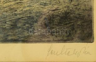 Scultéty Éva (1917-2001): Tabán. Színezett rézkarc, papír, jelzett. Üvegezett fakeretben. 39×29 cm