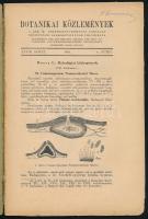 1931 Botanikai Közlemények XXVIII. köt. 6. füzet. Szerk.: Szabó Zoltán. Bp., 1931, Kir. M. Természet...