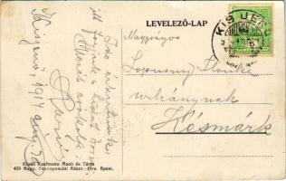 1914 Kisjenő, Kis-Jenő, Chisineu-Cris; Fehér Körös hídja és völgye. Kaufmann Manó és Társa kiadása /...