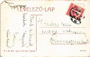 1917 Temesvár, Timisoara; Bégasor, dohánygyár. W.L. Bp. 2034. Gerő Manó kiadása / riverside, tobacco...