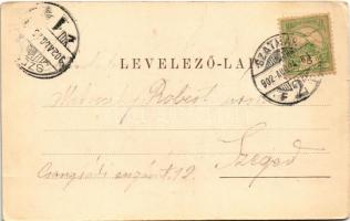 1902 Szatmárnémeti, Szatmár, Satu Mare; látkép. Lövy Miksa kiadása / general view (fa)