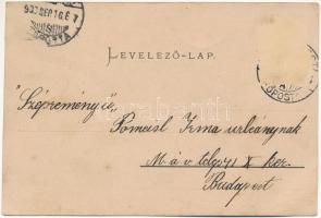 1900 Segesvár, Schässburg, Sighisoara; Petőfi szobor, Vármegyeház, Vármegye terem / Petőfi-Denkmal, ...