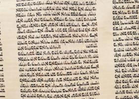 XX. sz. Régi tóratekercs, pergamen, a fa egyik fogója letört, foltos, h: 70 cm