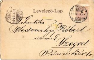 1899 (Vorläufer) Miskolc, Kossuth szobor koszorúkkal, magyar zászlóval. Lövy József fia kiadása (EK)