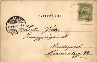 1903 Budapest III. Békásmegyer, Villatelep. Divald Károly 233. sz. (kis szakadás / small tear)