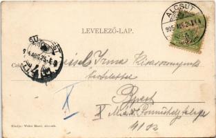 1905 Alcsút, Főhercegi kastély, udvari részlet, községháza. Weisz Manó kiadása (ázott sarok / wet co...