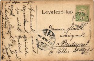 Martonvásár, Dreher Antal kastélya. Schein Lajos kiadása. W.L. (?) 1297. (EK)