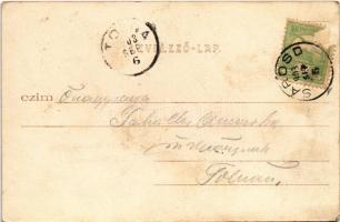 1903 Sárosd, Római katolikus templom, gyógyszertár, Fogyasztási szövetkezet üzlete és saját kiadása ...