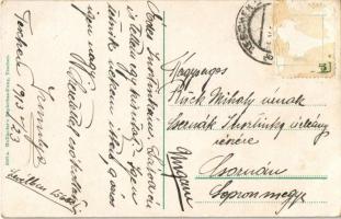 1913 Cieszyn, Teschen; Theater, Demelplatz / theatre, square (Rb)