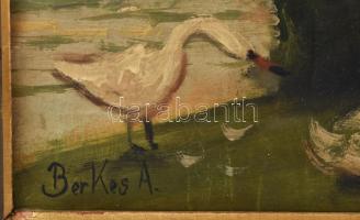 Berkes A jelzéssel: Városliget hattyúkkal. Olaj, vászon. Sérült. Fakeretben. 60x45,5 cm
