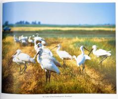 Várnai György: Vadásztörténetek és mesék felnőtt gyerekeknek, a természet rajongóinak. Piliscsaba, 2...