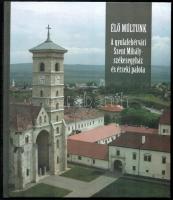 Élő múltunk. A gyulafehérvári Szent Mihály-székesegyház és érseki palota. Szerk.: Knecht Tamás. Jakubinyi György érsek előszavával. Kolozsvár, 2012, Verbum. Gazdag képanyaggal illusztrált. Kiadói kartonált papírkötés.