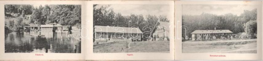 Szováta-fürdő, Baile Sovata; Kelemen Ádám kereskedő kiadása 1907. - nem képeslapos hátoldalú leporel...