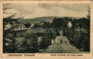 Homoród, Honterusbad, Grosse Promenade vom Berge gesehen. Johann Weiss, F. Theil / Nagy sétány a fürdőben / spa promenade (EK)